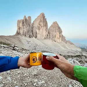 Dolomiti Des Alpes Hotel